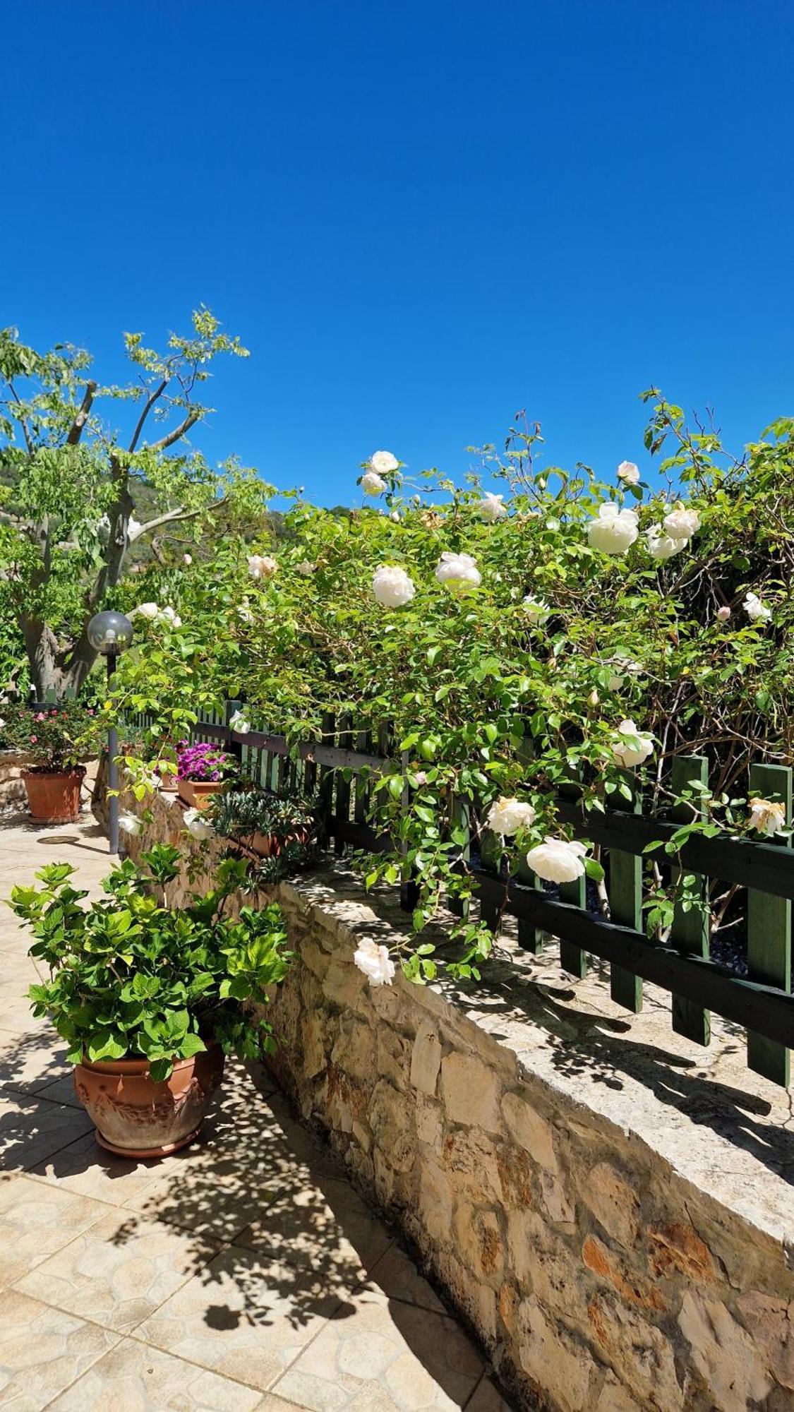 Trullo Grande Noce Villa Ostuni Exterior photo